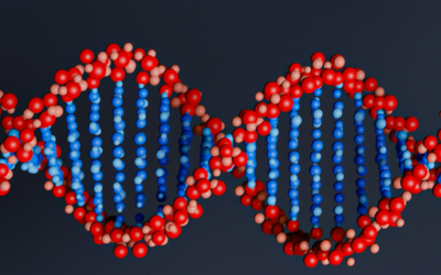 Top Five Things To Do With Your Ancestry DNA Results